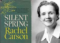 Image result for Silent Spring Book Cover