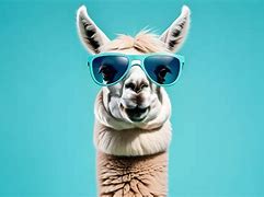 Image result for Classic Llama