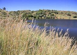 Image result for Suikerbosrand Nature Reserve