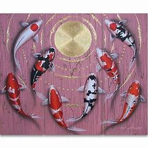 Image result for 13 Koi Carp Image