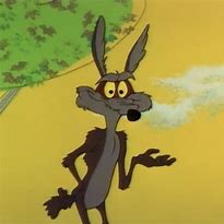 Image result for Willie Coyote Jpg