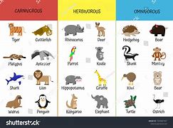 Image result for 10 Omnivores