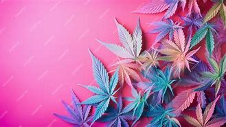 Image result for Pink Marijuana Leaf Design