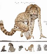 Image result for Mutant Cheetah