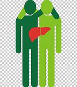 Image result for Liver Transplant Clip Art