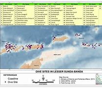 Image result for Biodiversitas Laut HD