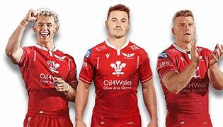 Image result for James Davies Rugby Scarlets PNG