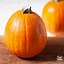 Image result for Pumpkin Puree