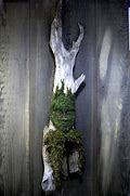 Image result for Moss Sculpture