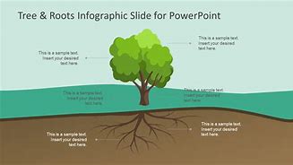 Image result for Tree and Roots Diagram