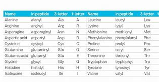 Image result for Amino Acid Short Form