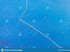 Image result for Pool Lane Buoys