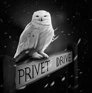 Image result for Hedwig Pixel Art