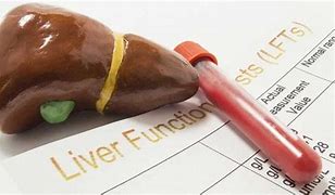 Image result for Liver Blood