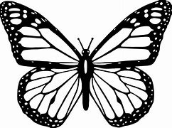 Image result for Flower Clip Art Black and White Butterfly