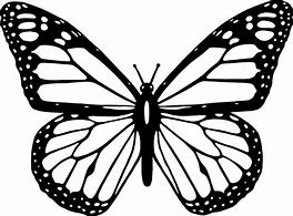 Image result for Butterfly Clip Art Black and White Outline