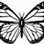 Image result for Butterfly Clip Art Black and White Outline