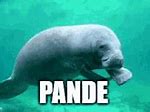 Image result for Pandesal GIF