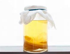 Image result for Mother's Vinegar