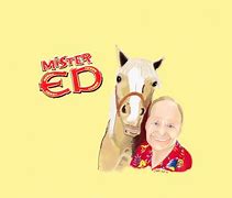 Image result for Mr. Ed Zebra