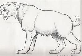 Image result for Sabertooth Tiger Side Profile