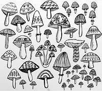 Image result for Trippy Mushroom Drawing