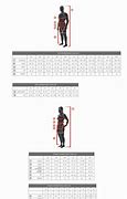 Image result for Specialized Clothing Size Chart