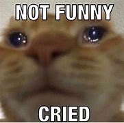 Image result for Sad Cat Crazy