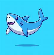 Image result for Cute Cat Shark