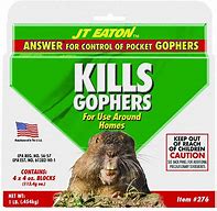 Image result for Striped Gopher Poison