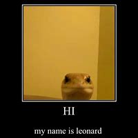 Image result for Stop Talking Lizard Meme