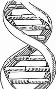 Image result for Double Helix Black and White