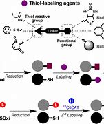 Image result for Thiol Oxidation