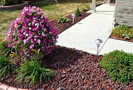 Image result for Red Lava Rock Landscaping