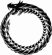 Image result for Dragon Circle Logo.png