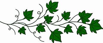 Image result for Mahangu Plant Leaf Clip Art