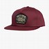 Image result for Salty Crew Hat Gray