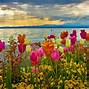 Image result for Think Spring Screensavers