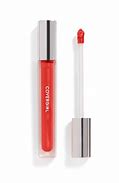 Image result for CoverGirl Lip Gloss