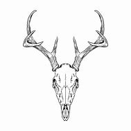 Image result for Deer Skull Monster