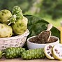 Image result for Noni Leaf Health Benefit Chart