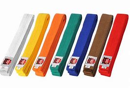 Image result for Belts in Taekwondo