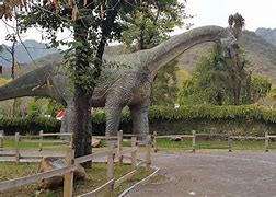 Image result for Jaring Kotak Dino