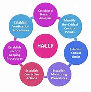 Image result for A Good HACCP Flow Diagram