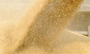 Image result for Grain Dust Explosive Warning