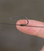 Image result for Bolt Rigs for Carp