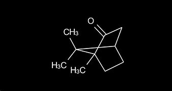 Image result for Camphor Chemical Structure