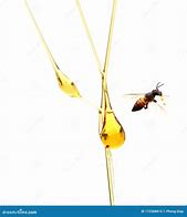 Image result for Honey Drop Nourishing