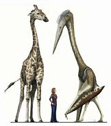 Image result for Biggest Flying Dinosaur