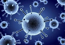 Image result for Influenza Virus Picture